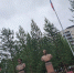 Взвейтесь, флаги! - ProNyagan.Ru